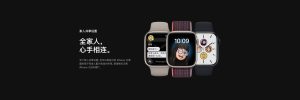 2025春节放假通知